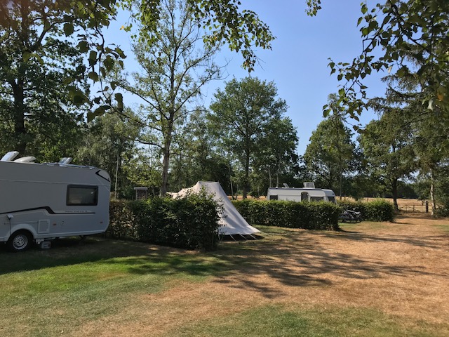 Een foto van de kampeerplekken op onze kleine camping in Drenthe.